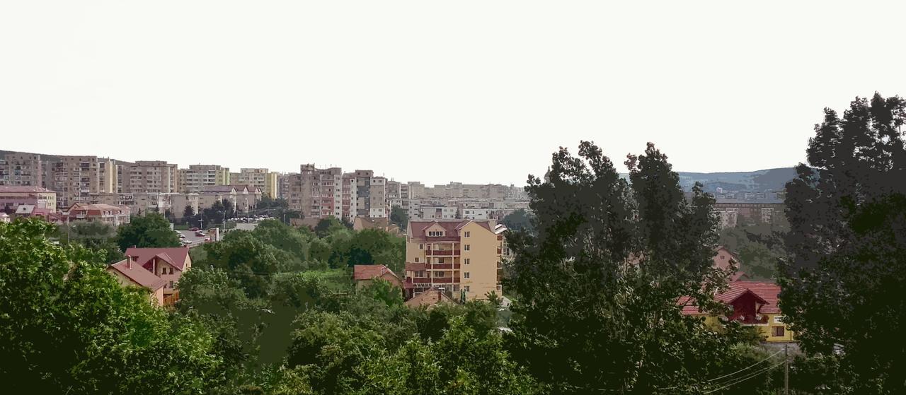 Vila Rosa 2 Hotel Cluj-Napoca Luaran gambar